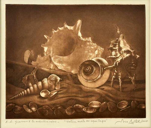 Mohamed Ben Meftah - Nature morte au coquillages 2000